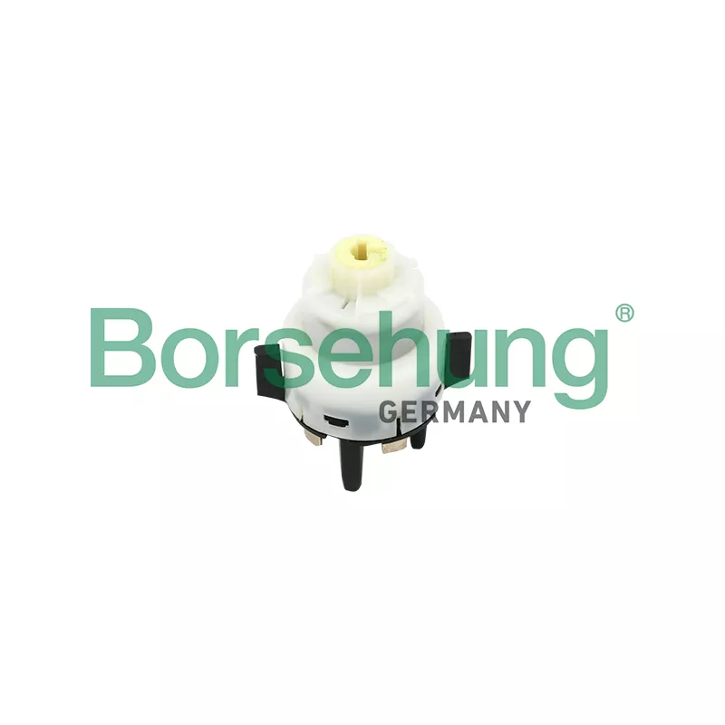 Interrupteur d'allumage/de démarreur Borsehung B17961