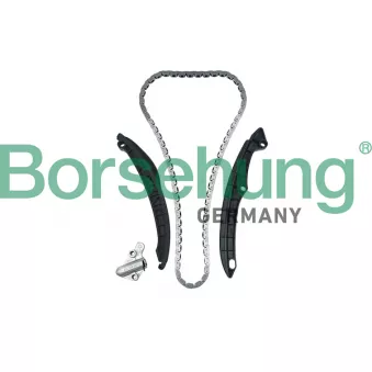 Kit de distribution par chaîne Borsehung