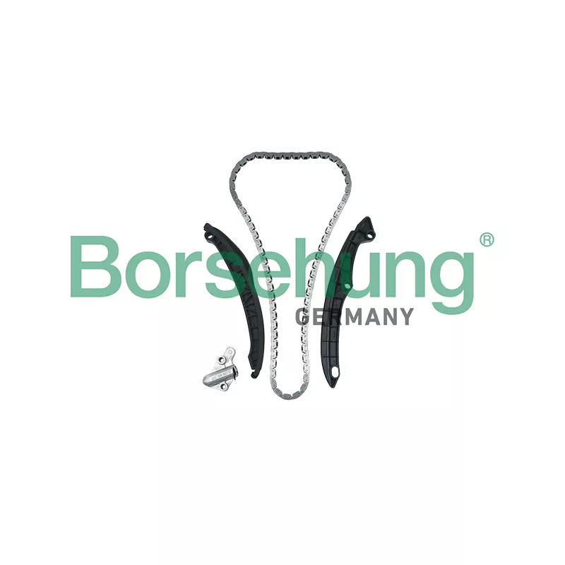 Kit de distribution par chaîne Borsehung B17991