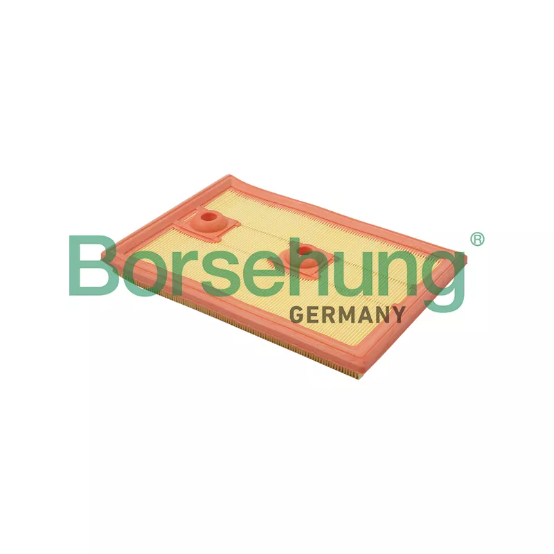 Filtre à air Borsehung B18013