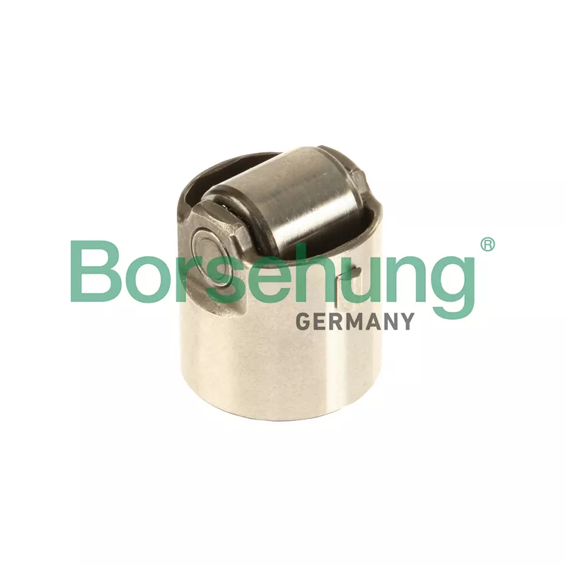 Pilon, Pompe à haute pression Borsehung B18195