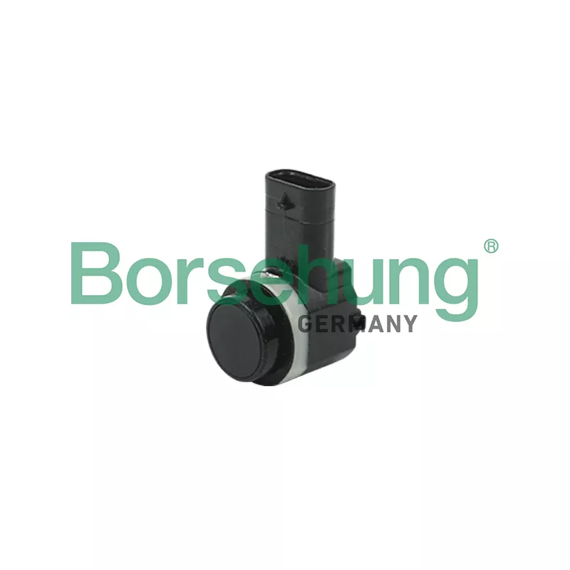 Aide au stationnement Borsehung B18198