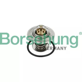 Thermostat, liquide de refroidissement Borsehung B18231