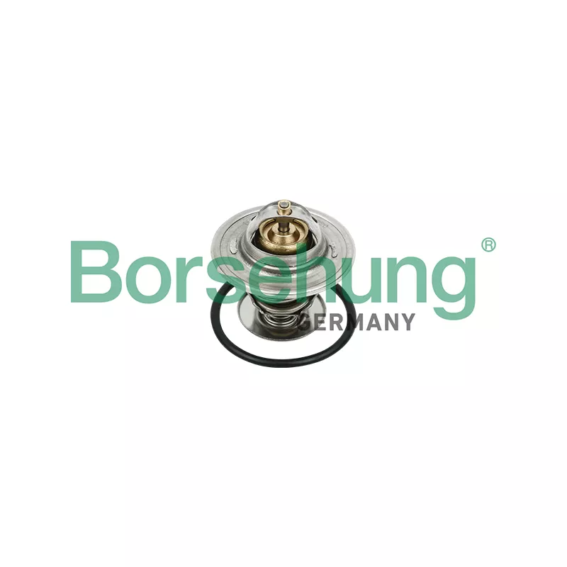 Thermostat, liquide de refroidissement Borsehung B18231