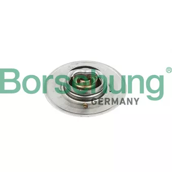 Thermostat, liquide de refroidissement Borsehung