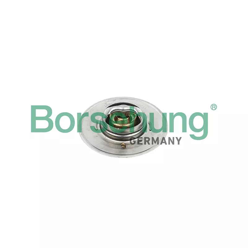 Thermostat, liquide de refroidissement Borsehung B18247