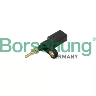 Sonde de température, liquide de refroidissement Borsehung