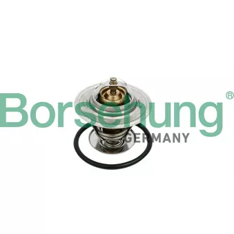 Thermostat, liquide de refroidissement Borsehung B18259