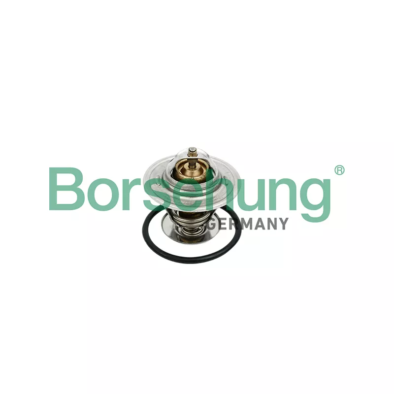 Thermostat, liquide de refroidissement Borsehung B18259