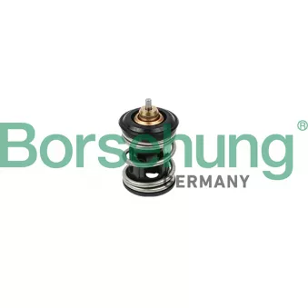 Thermostat, liquide de refroidissement Borsehung
