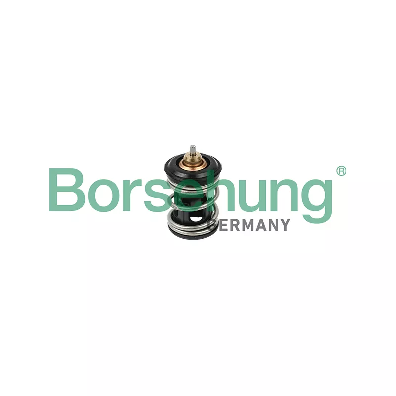 Thermostat, liquide de refroidissement Borsehung B18261