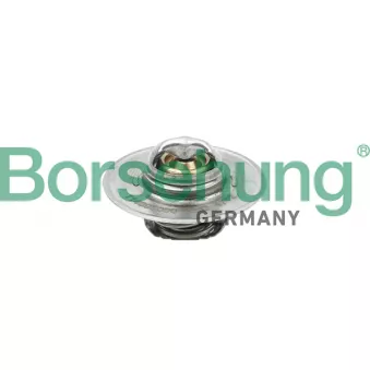 Thermostat, liquide de refroidissement Borsehung