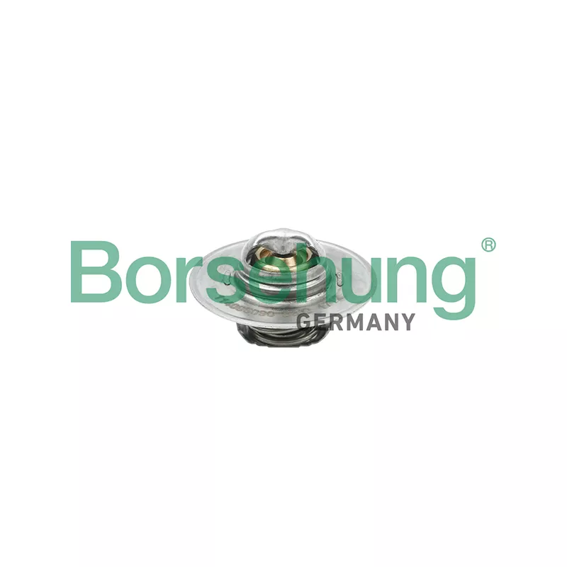 Thermostat, liquide de refroidissement Borsehung B18280