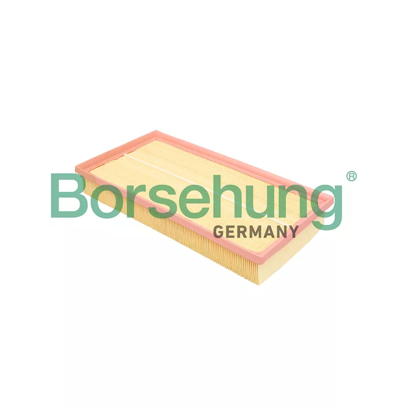 Filtre à air Borsehung B18293