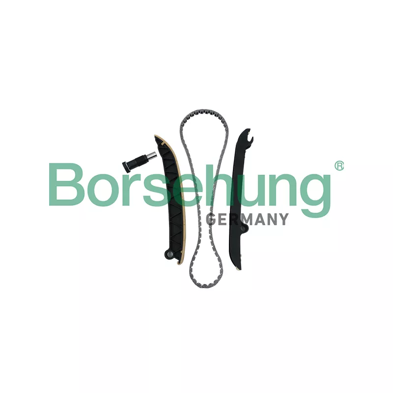 Kit de distribution par chaîne Borsehung B18296