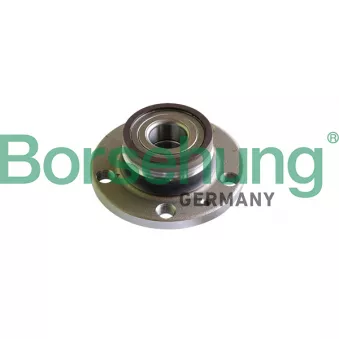 Roulement de roue arrière Borsehung B18297