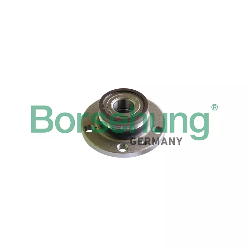 Roulement de roue arrière Borsehung B18297