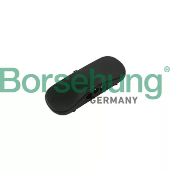 Gicleur d'eau de nettoyage, nettoyage des vitres Borsehung