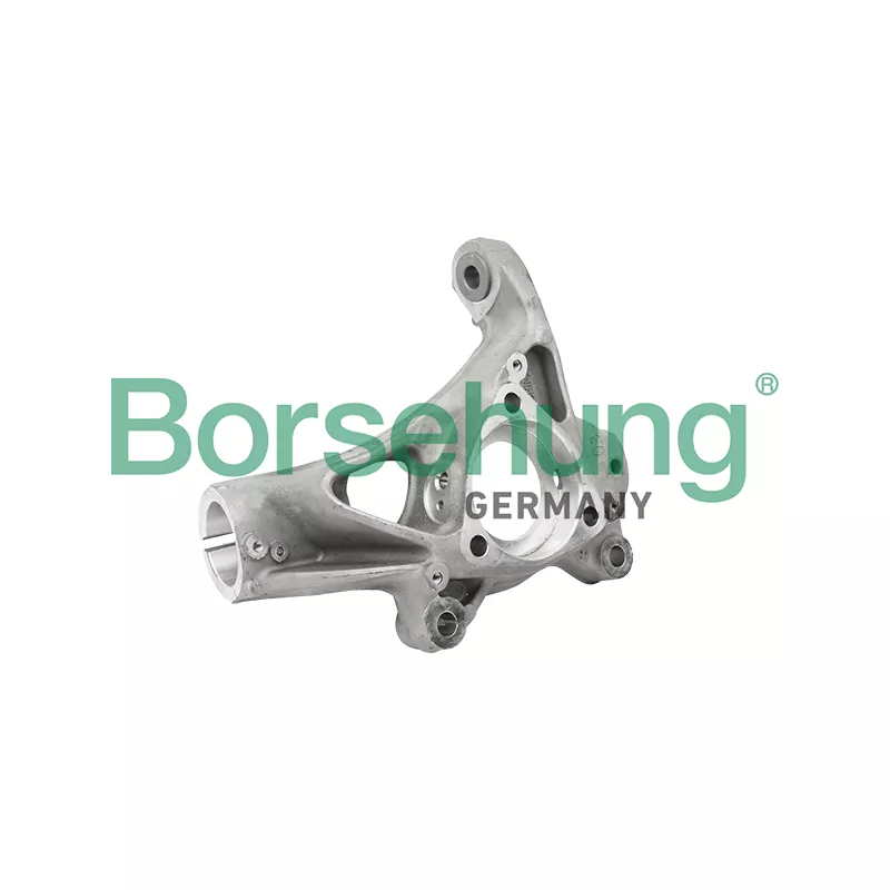 Fusée d'essieu, suspension de roue Borsehung B18510