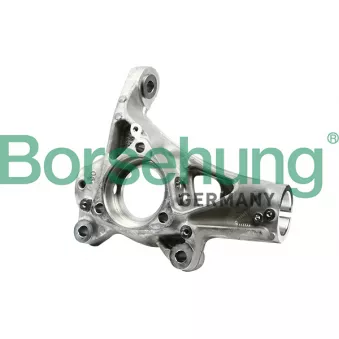Fusée d'essieu, suspension de roue Borsehung B18511
