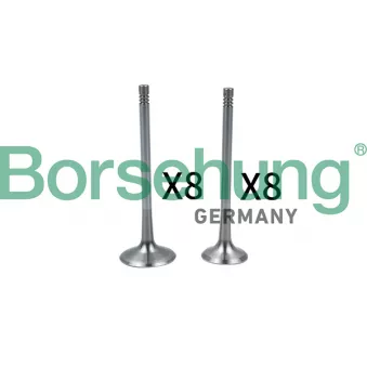 Soupape d'admission Borsehung B18637