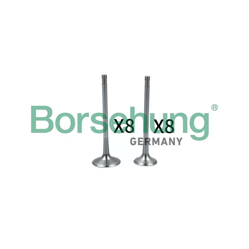 Soupape d'admission Borsehung B18637
