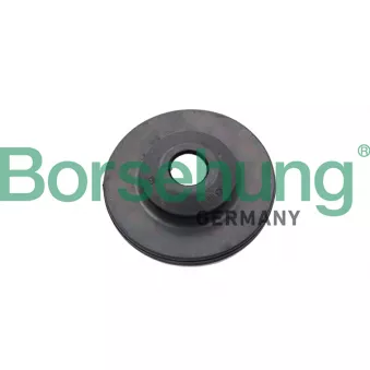 Patin de ressort Borsehung B18721