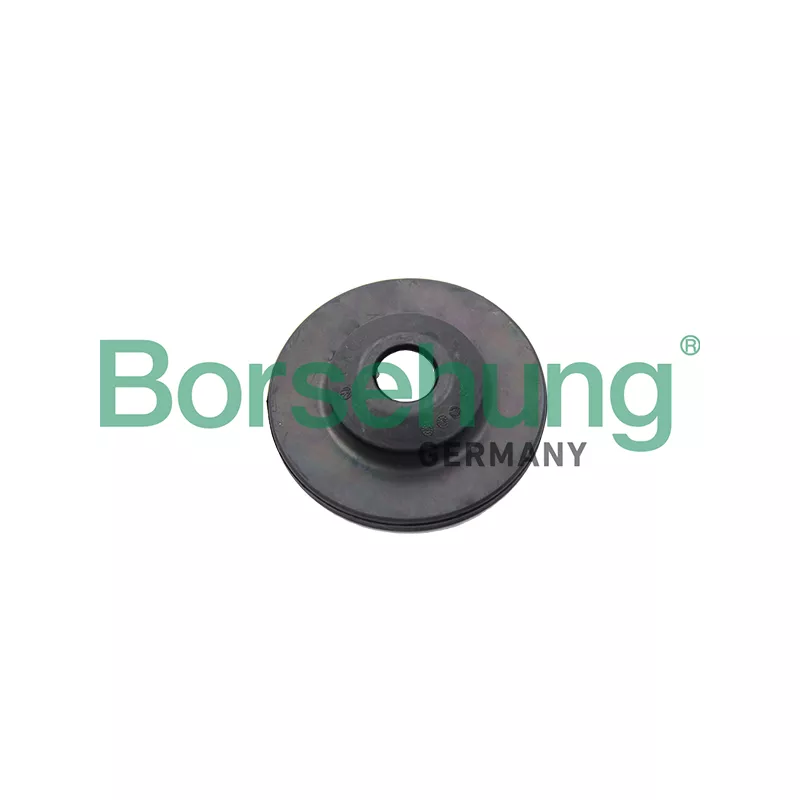 Patin de ressort Borsehung B18721