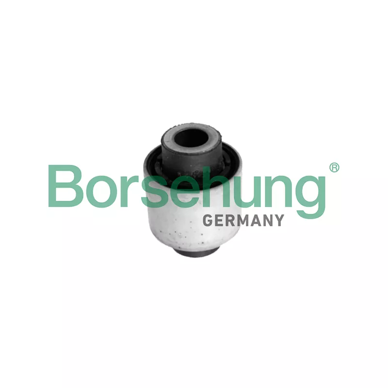 Suspension, bras de liaison Borsehung B18722