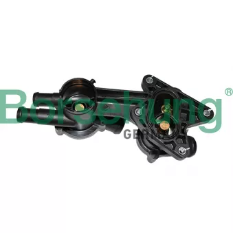 Thermostat, liquide de refroidissement Borsehung