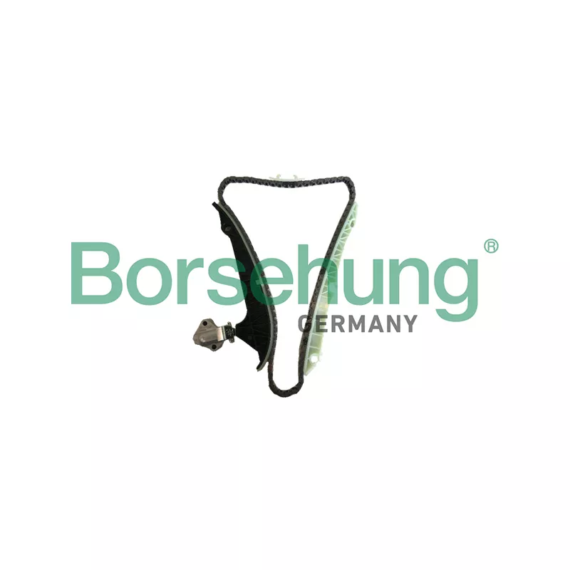 Kit de distribution par chaîne Borsehung B18778