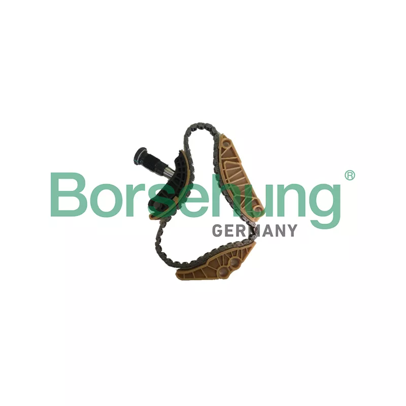 Kit de chaînes, commade de pompe à huile Borsehung B18779