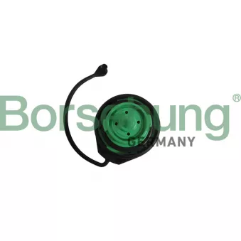 Bouchon, réservoir de carburant Borsehung