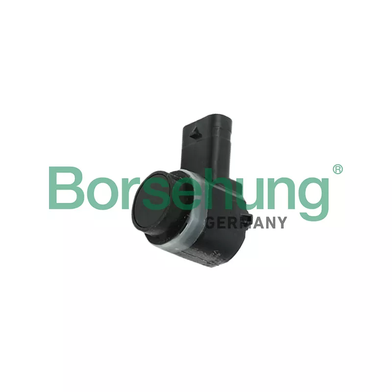 Aide au stationnement Borsehung B18792