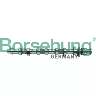 Arbre à came Borsehung B18805