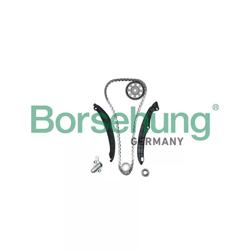 Kit de distribution par chaîne Borsehung B18824