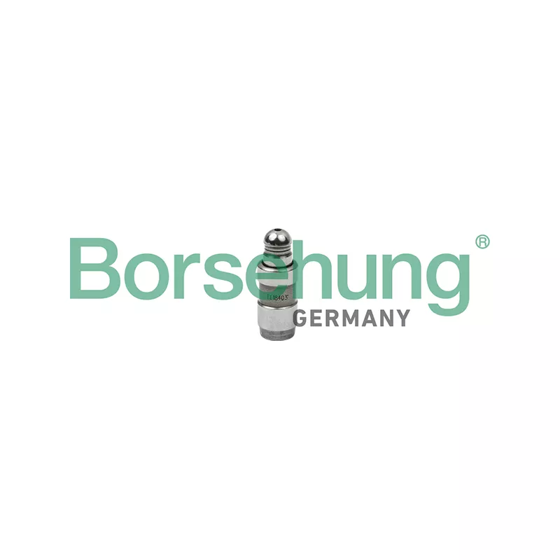 Poussoir de soupape Borsehung B18826