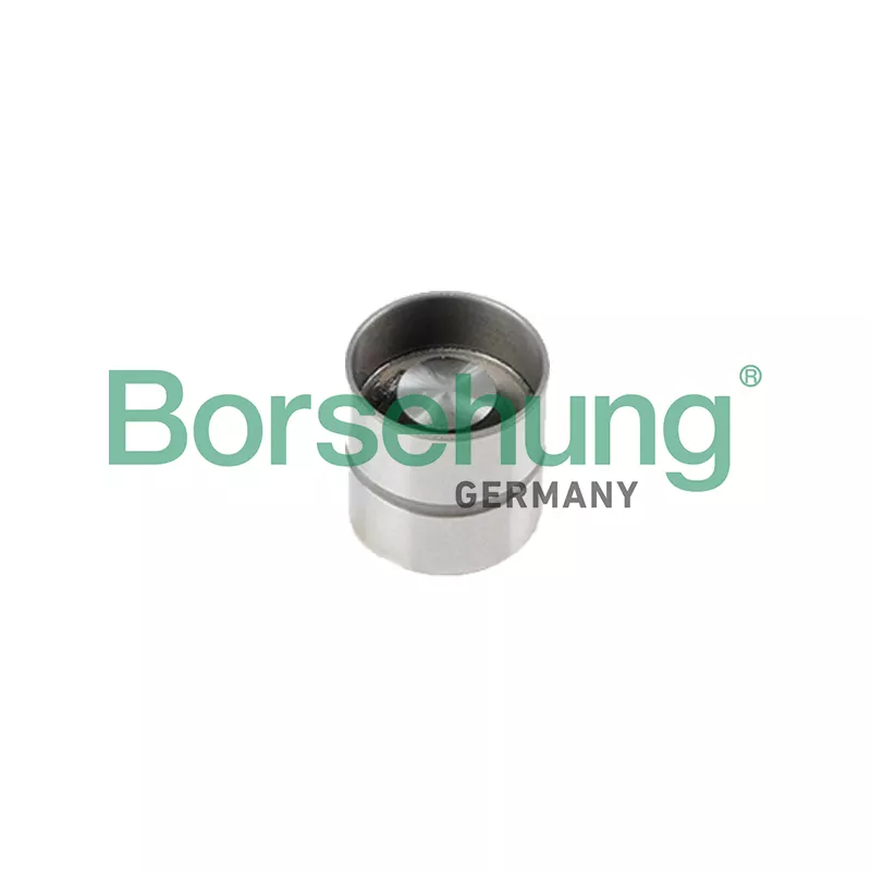 Poussoir de soupape Borsehung B18834