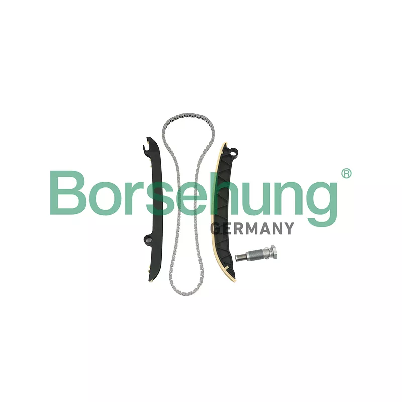 Kit de distribution par chaîne Borsehung B18843