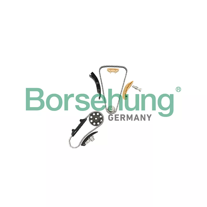 Kit de distribution par chaîne Borsehung B18846
