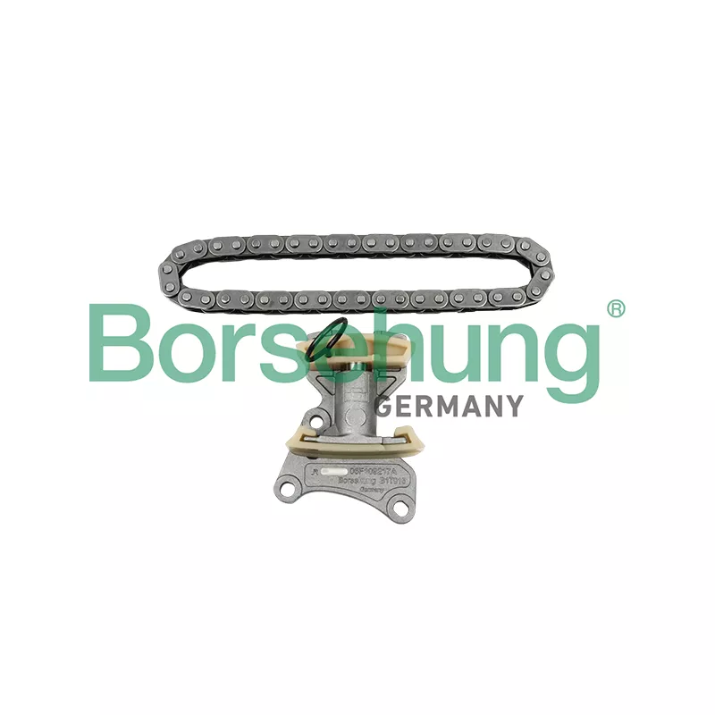 Kit de distribution par chaîne Borsehung B18847