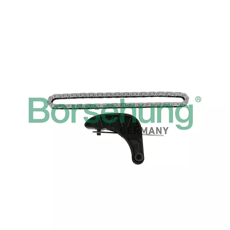 Kit de distribution par chaîne Borsehung B18850