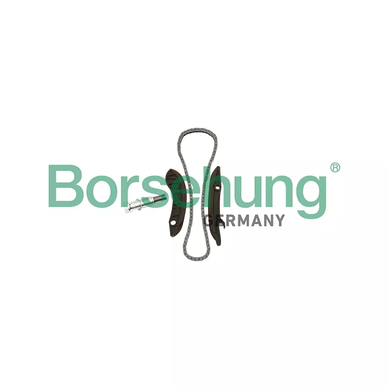 Kit de distribution par chaîne Borsehung B18852
