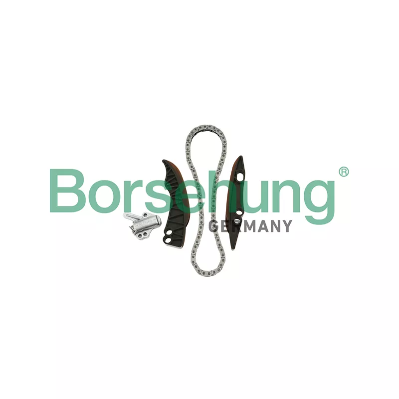 Kit de distribution par chaîne Borsehung B18853