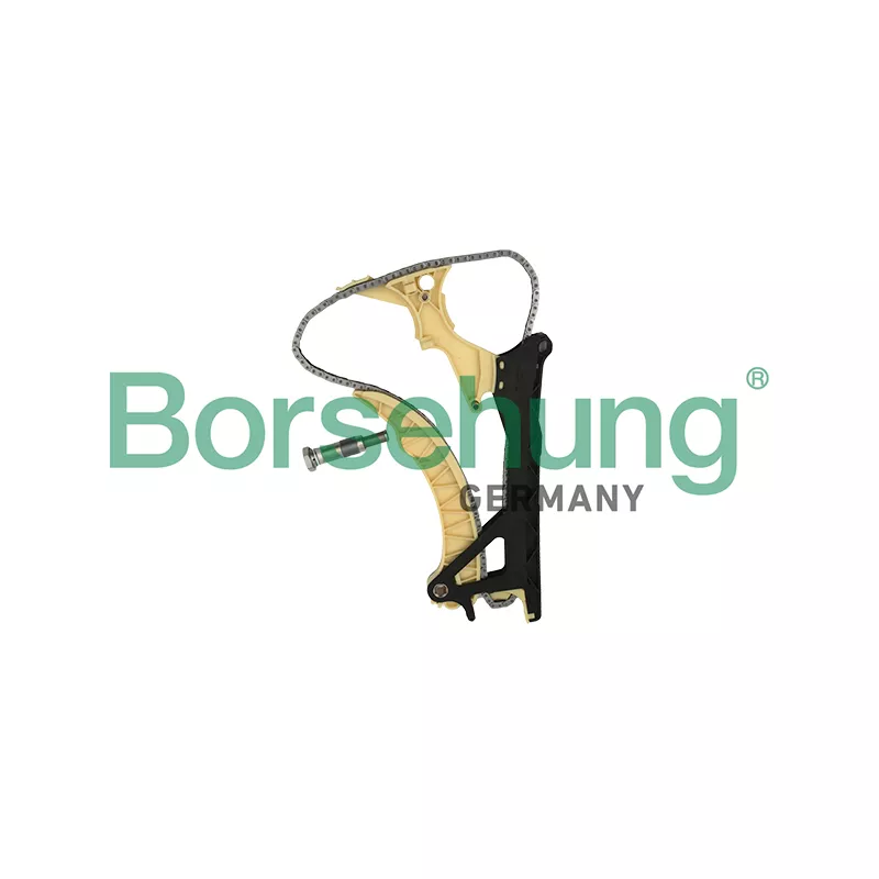 Kit de distribution par chaîne Borsehung B18855