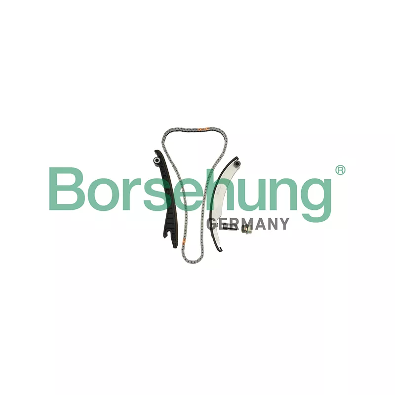 Kit de distribution par chaîne Borsehung B18856