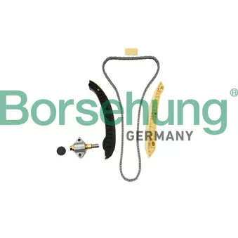 Kit de distribution par chaîne Borsehung B18857