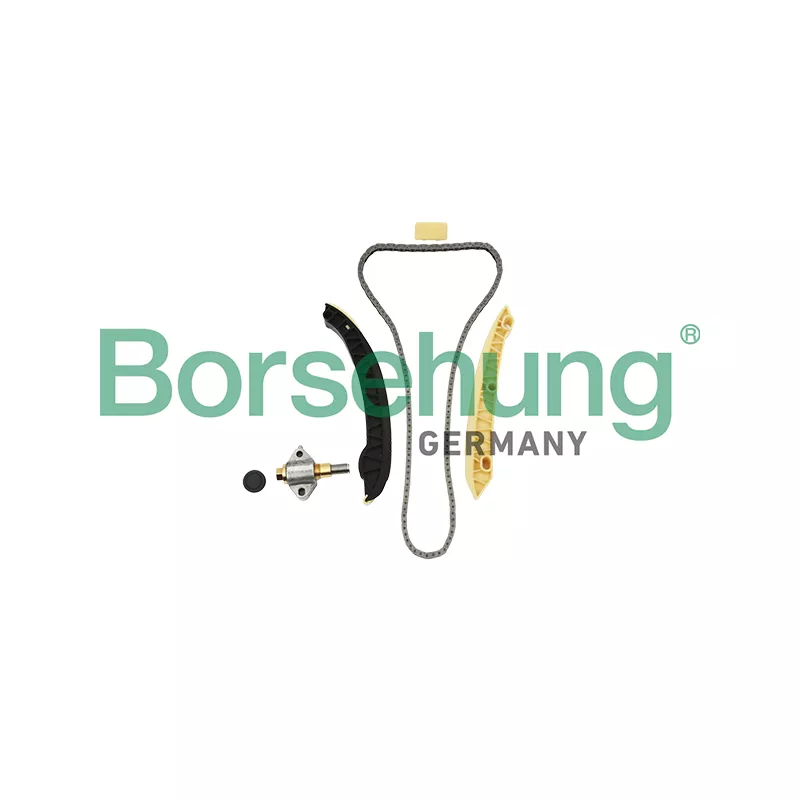 Kit de distribution par chaîne Borsehung B18857
