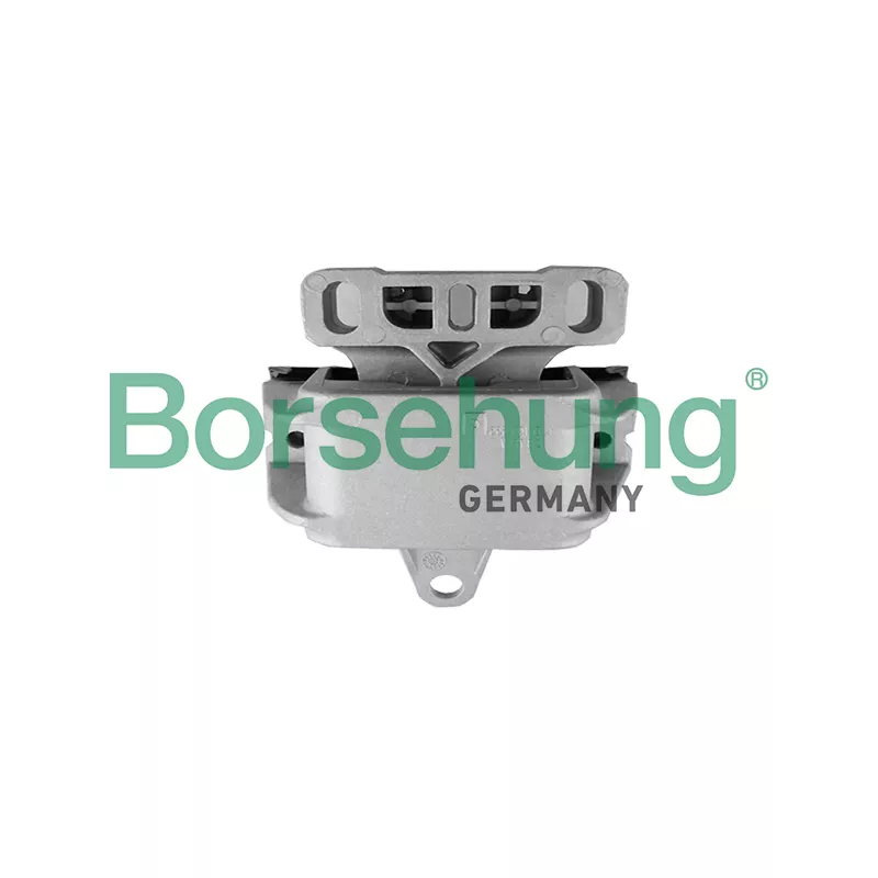 Support moteur Borsehung B18933