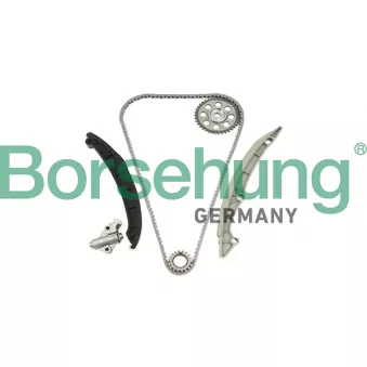 Kit de distribution par chaîne Borsehung B18960
